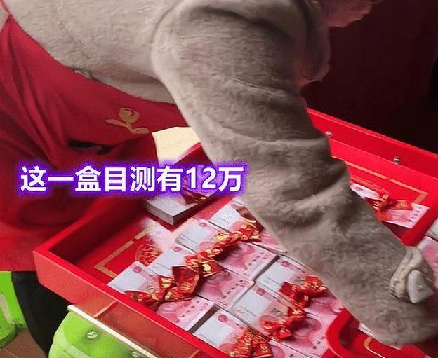 苹果12迷你韩版多少钱:江西女孩朋友圈晒25万彩礼：真搞不懂，你们喷啥酸水？